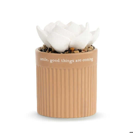 Succulent Oil Diffuser - Smile