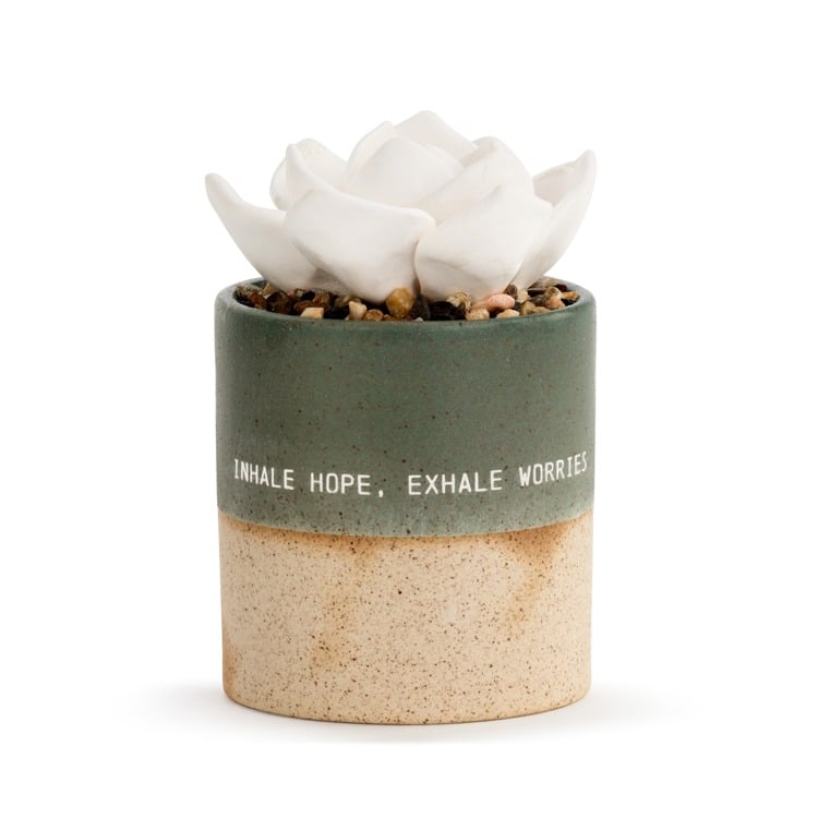 Succulent Oil Diffuser - Hope