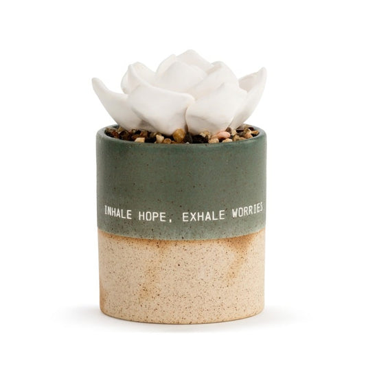 Succulent Oil Diffuser - Hope